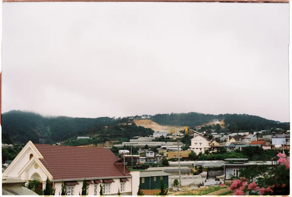 Tại Trần Thị Mai Hương